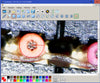 Micro Dottie 3 - CMYK Color Separation USB Video Microscope 500X Enlargement