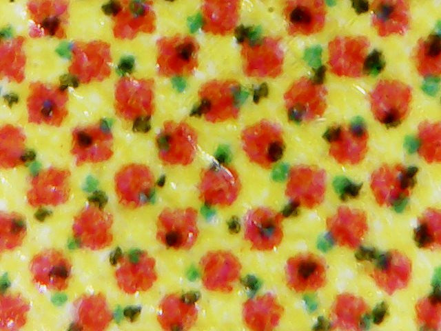 Micro Dottie 3 - CMYK Color Separation USB Video Microscope 500X Enlargement